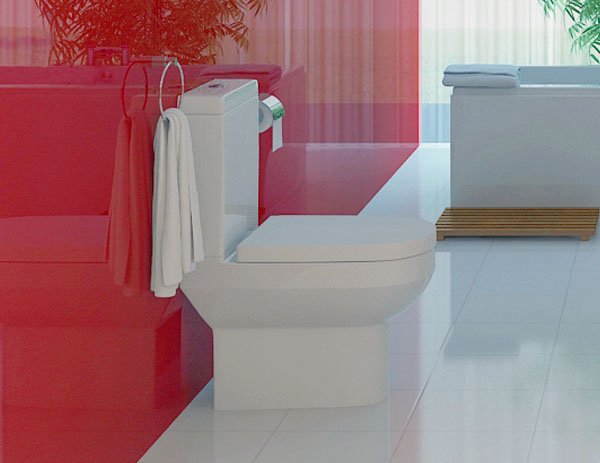 Click here to view and / or buy the Alpha Toilet & Cistern